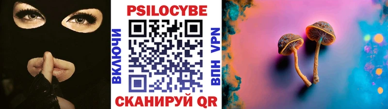 Псилоцибиновые грибы прущие грибы  Муравленко 